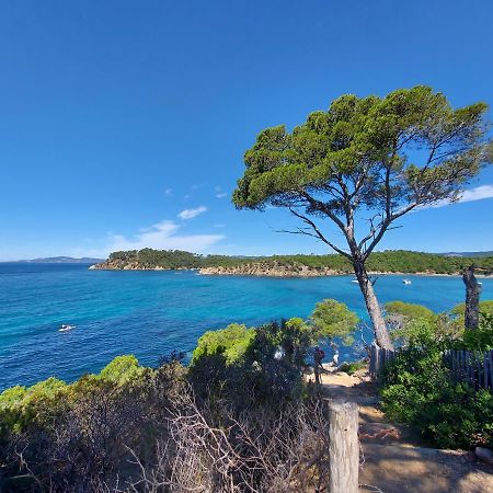 Coquet Studio Avec Belle Terrasse Apartment La Londe-les-Maures Bagian luar foto